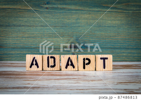 ADAPT. Text from wooden letters on a green background 87486813