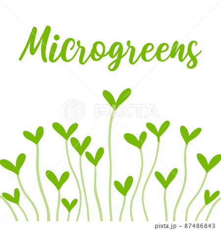 Frame with microgreens.Frame made of microgreens. vector illustration in hand drawn style. 87486843