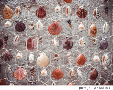 Background from colorful seashells on stone backdrop. Close-up shot. Texture from art seashells for a post, screensaver, wallpaper, postcard, poster, banner, cover, website. High quality photography 87488103