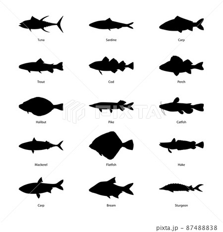 Set of silhouettes of fishes, vector illustration 87488838