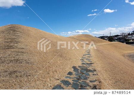 綿貫観音山古墳 綿貫観音山古墳 87489514