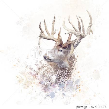 Digital Painting Of Male Deerのイラスト素材
