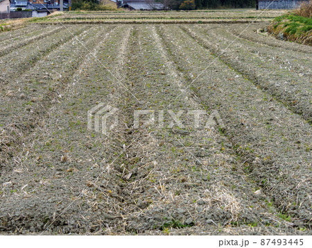 耕された田畑の風景 耕された田畑の風景 87493445
