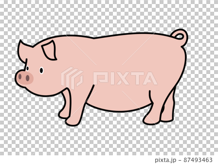 插圖素材：一頭粗暴的豬的插圖 87493463