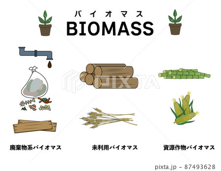 3種類のバイオマスを分かりやすくイメージしたイラストセット 3種類のバイオマスを分かりやすくイメージしたイラストセット 87493628
