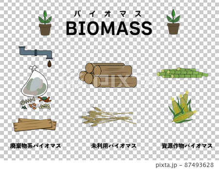 3種類のバイオマスを分かりやすくイメージしたイラストセット 3種類のバイオマスを分かりやすくイメージしたイラストセット 87493628
