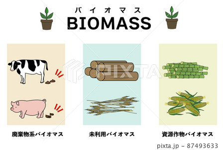 3種類のバイオマスを分かりやすくイメージしたイラストセット 87493633