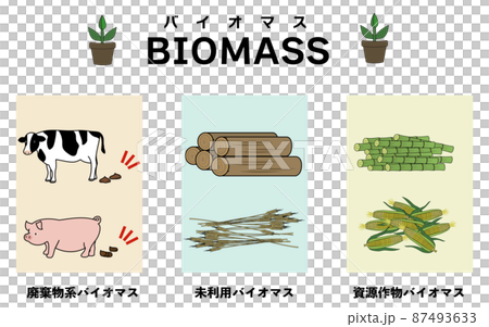 3種類のバイオマスを分かりやすくイメージしたイラストセット 87493633
