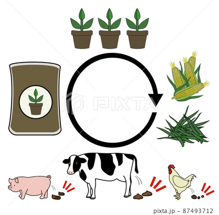 ラフなタッチの牛糞・豚糞・鶏糞堆肥から植物栽培、飼料の流れをイメージしたイラストセット ラフなタッチの牛糞・豚糞・鶏糞堆肥から植物栽培、飼料の流れをイメージしたイラストセット 87493712