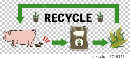 Illustration set with the image of plant cultivation and feed flow from rough-touch pig manure compost Illustration set with the image of plant cultivation and feed flow from rough-touch pig manure compost 87493714
