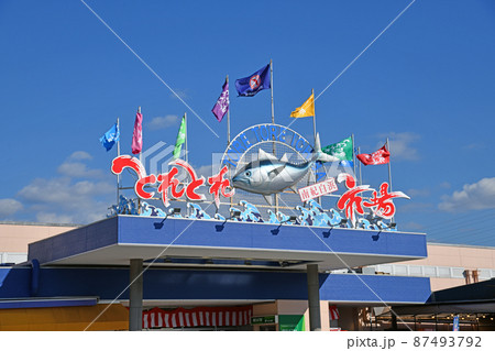 南紀白浜とれとれ市場 87493792