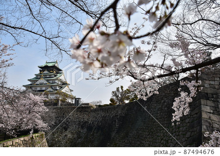 日本の大阪府　春の大阪城公園　満開の桜と青空と立派な天守閣 87494676