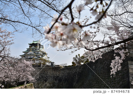 日本の大阪府　春の大阪城公園　満開の桜と青空と立派な天守閣 87494678
