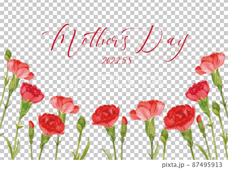 Mother's day carnation frame 87495913