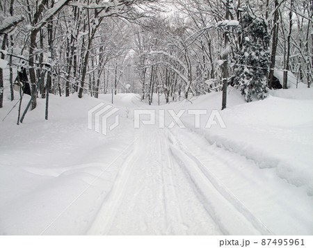 雪で車が通れなくなった別荘地の林道 87495961