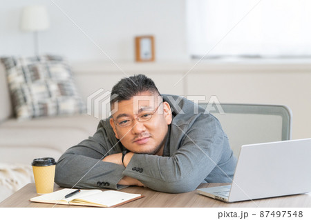 ぽっちゃり男性のビジネスイメージ・人の多様性 87497548