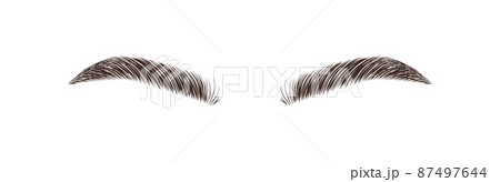 Realistic eyebrows on white background. Permanent make-up and microblading. Brow studio logo. Linear vector Illustration in trendy minimalist style Realistic eyebrows on white background. Permanent make-up and microblading. Brow studio logo. Linear vector Illustration in trendy minimalist style 87497644