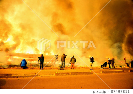 炎 　ヨシ焼　見物人　カメラマン　渡良瀬遊水池 87497811