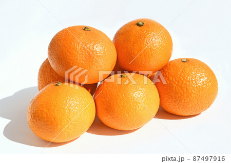 みかん・柑橘類(スイートスプリング) みかん・柑橘類(スイートスプリング) 87497916