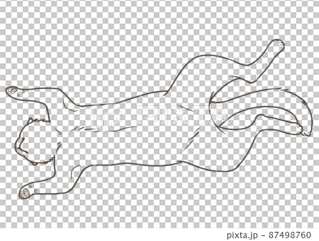Banzai sleeping cat (coloring) 87498760