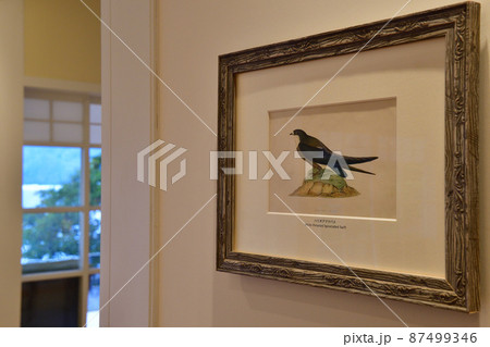 絵画と景色に癒される 87499346