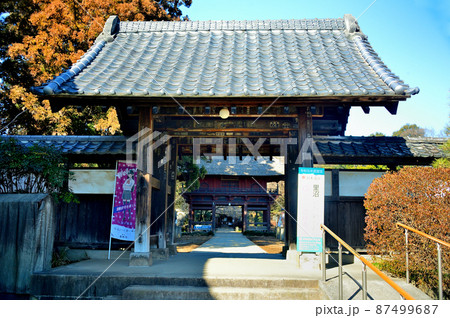 茂林寺(群馬県) 茂林寺(群馬県) 87499687