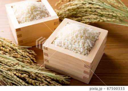 お米 新米 お米 新米 87500333