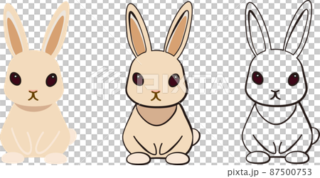 簡單可愛的兔子插畫 87500753