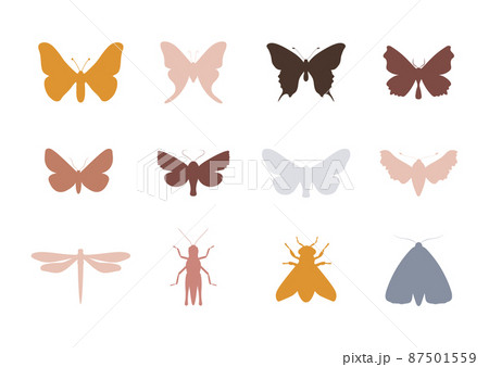 Butterfly silhouette collection in bohemian style. Hand drawn moth, dragonfly, bee and grasshopper. Isolated boho clipart. Vintage celestial design. Folk vector illustration 87501559