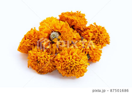 Dried marigold flower on white background. 87501686