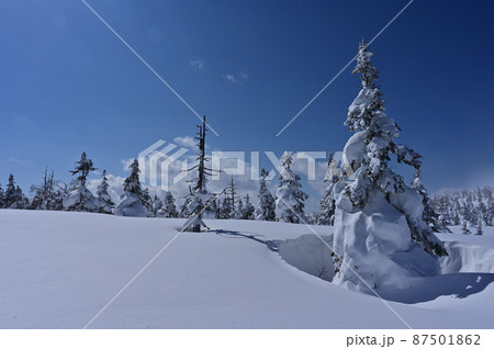 裏岩手縦走路大松倉山の樹氷 87501862