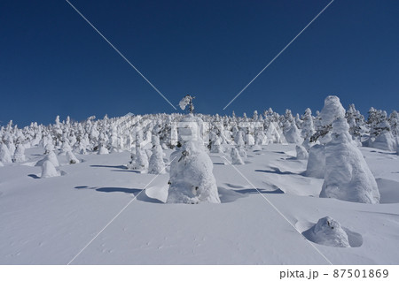 裏岩手縦走路　大松倉山の樹氷原 87501869