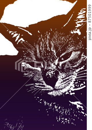 猫 ネコ ねこ キジトラ 白 グレー 子猫 雌 メス 雌ねこ 雌ネコ 雌猫 元気 かわいい 癒し 猫 ネコ ねこ キジトラ 白 グレー 子猫 雌 メス 雌ねこ 雌ネコ 雌猫 元気 かわいい 癒し 87501999