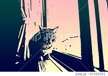 猫 ネコ ねこ キジトラ 白 グレー 子猫 雌 メス 雌ねこ 雌ネコ 雌猫 元気 かわいい 癒し 87502025