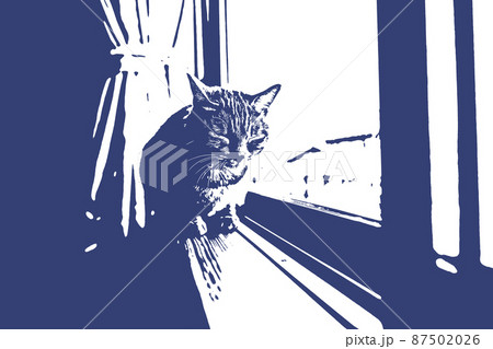 猫 ネコ ねこ キジトラ 白 グレー 子猫 雌 メス 雌ねこ 雌ネコ 雌猫 元気 かわいい 癒し 87502026