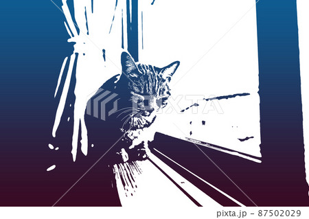 猫 ネコ ねこ キジトラ 白 グレー 子猫 雌 メス 雌ねこ 雌ネコ 雌猫 元気 かわいい 癒し 87502029