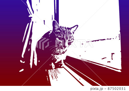 猫 ネコ ねこ キジトラ 白 グレー 子猫 雌 メス 雌ねこ 雌ネコ 雌猫 元気 かわいい 癒し 87502031