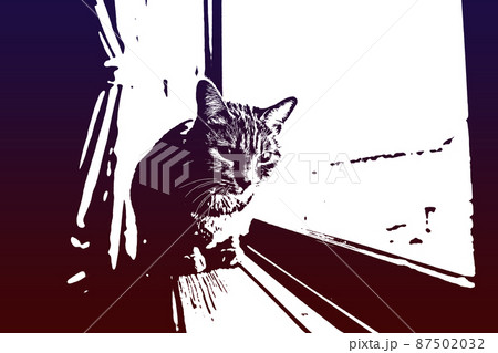 猫 ネコ ねこ キジトラ 白 グレー 子猫 雌 メス 雌ねこ 雌ネコ 雌猫 元気 かわいい 癒し 87502032