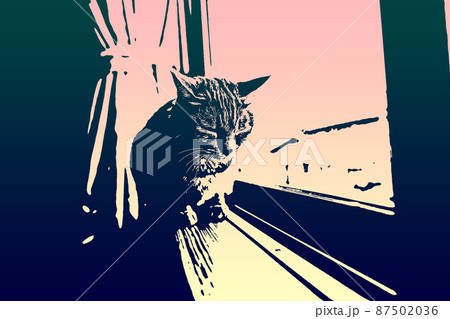 猫 ネコ ねこ キジトラ 白 グレー 子猫 雌 メス 雌ねこ 雌ネコ 雌猫 元気 かわいい 癒し 87502036