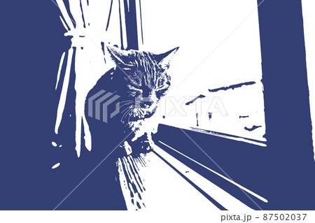 猫 ネコ ねこ キジトラ 白 グレー 子猫 雌 メス 雌ねこ 雌ネコ 雌猫 元気 かわいい 癒し 87502037