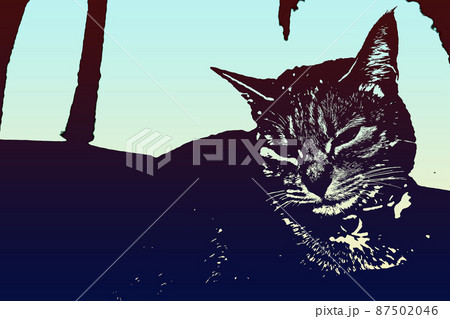 猫 ネコ ねこ キジトラ 白 グレー 子猫 雌 メス 雌ねこ 雌ネコ 雌猫 元気 かわいい 癒し 猫 ネコ ねこ キジトラ 白 グレー 子猫 雌 メス 雌ねこ 雌ネコ 雌猫 元気 かわいい 癒し 87502046