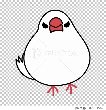 怒ってるかわいい白文鳥のイラスト素材 1羽 正面のイラスト素材