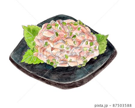 手描き水彩のアジのたたきイラスト 87503588