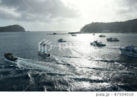 美しく神秘的な東洋のガラパゴス小笠原 美しく神秘的な東洋のガラパゴス小笠原 87504010