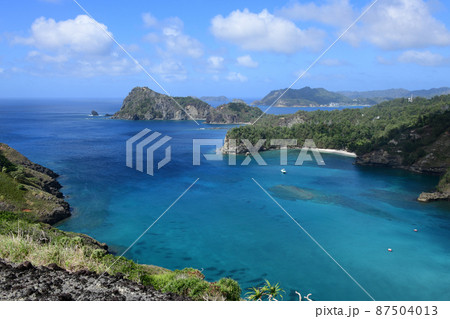 美しく神秘的な東洋のガラパゴス小笠原　　 87504013