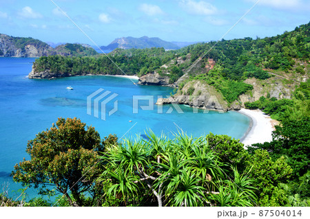 美しく神秘的な東洋のガラパゴス小笠原　　 87504014