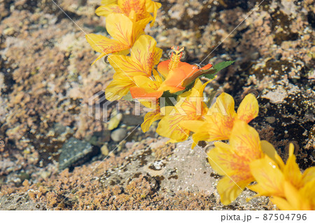 創作雑貨 ハワイアンレイ 水面 創作雑貨 ハワイアンレイ 水面 87504796