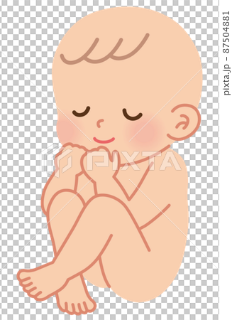 睡覺的嬰兒胎兒 87504881