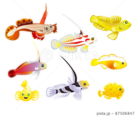 海の魚たち（ホムラハゼ・ハタタテハゼ・ヤシャハゼなど） 87506847