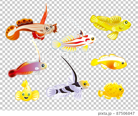 海の魚たち（ホムラハゼ・ハタタテハゼ・ヤシャハゼなど） 87506847